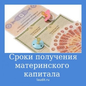 Сроки получения материнского капитала